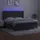 vidaXL Boxspringbett mit Matratze & LED Dunkelgrau 180x200 cm Samt