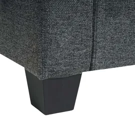 Mendler Couch Stoff 2-Sitzer Grau