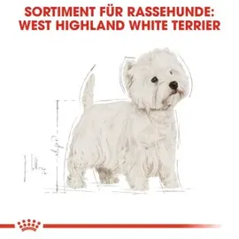 Royal Canin West Highland White Terrier 21 Adult 1,5 kg