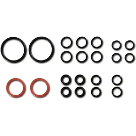 Kärcher O-Ring Set 2.884-312