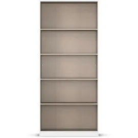 Rauch Spiegelschrank mit Einlegeböden ¦ grau ¦ Maße (cm): B: 91 H: 210