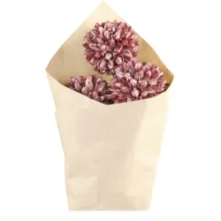 Chic Antique Fleur getrocknete Schneeball Blumen farbig, L60 cm, taupe