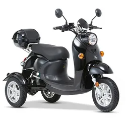 ENEWAY 3-Rad E-Mobil Modena II 25 km/h E-Trike ETrike Elektrofahrzeug Mobilitätsfahrzeug schwarz