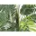 Europalms Areca Palme, 110cm