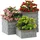 Lemax Flower Bed Boxes Set/3 Weihnachtsdorf mehrfarbig