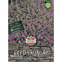 Sperli Feldthymian Wild Magic, - Kräutersamen - Sperli