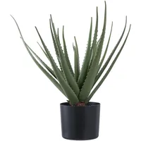 House Nordic Aloe Vera Kunstbaum Höhe 51cm Grün.