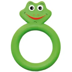 Schlori Tauchring