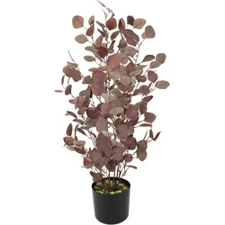 Kunstpflanze I.GE.A. "Eukalyptuspflanze", rot (burgund), B:40cm H:90cm L:30cm, Polyester, Kunstpflanzen, Im Topf künstlicher Eukalyptus Eukalyptusbaum Eukalyptusbusch Pflanze