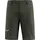Salewa Agner Durastretch Shorts Oliv 52