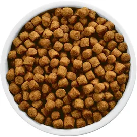 Hill's Prescription Diet Canine j/d Original 4 kg