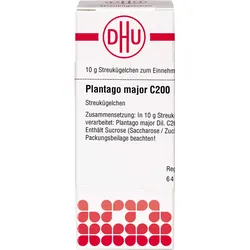Plantago Major C200 10 G