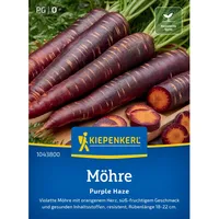 Kiepenkerl Profi-Line Möhre Purple Haze