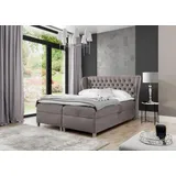 aea Chesterfield Boxspringbett Schlafzimmer Einrichtung Modern Polsterbett JVmoebel - Grau