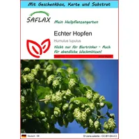SAFLAX - Geschenk Set - Echter Hopfen - 50