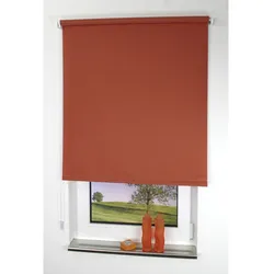 LIEDECO Seitenzug-Rollo, terracotta, Polyester - orange