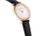 Swarovski Crystalline Wonder Leder 35 mm 5653359