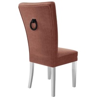 Stuhl ST67 mit Klopfer Esszimmerstuhl Küchenstuhl Kollektion Farbauswahl