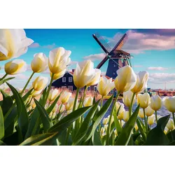 Fototapete PAPERMOON "Landschaft mit Bergen", bunt, B:3,00m L:2,23m, Vlies, Tapeten