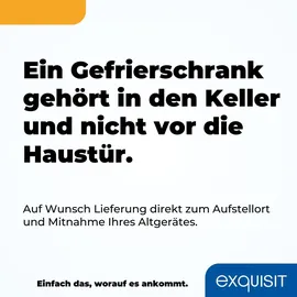 GGV Exquisit Exquisit Gefrierschrank, Tiefkühlschrank, 4-Sterne-Gefrieren, 91 Liter, Gefrierschrank klein, GS512-040E weiss