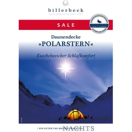 billerbeck Daunendecke Polarstern, - B/L ca. 155,00x220,00