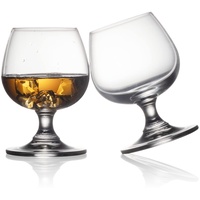 BothEarn Kleiner Brandy Snifter Set von 250 ml Kristall Whiskey Cognac Glas, gut für Hochzeit, Bar, Party, Zuhause, Cocktail, BE031