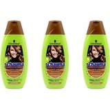 Schauma Balance & Pflege Shampoo , 3x350ml EAN4015100306613