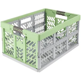 KEEEPER Profi-Klappbox ben 54 x 37 x 28 cm 2-tlg. grün