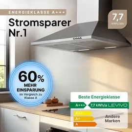 Levivo Dunstabzugshaube 60 cm Silber