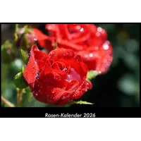 Vero Kalender Rosen-Kalender 2026 Fotokalender DIN A3 von Tobias