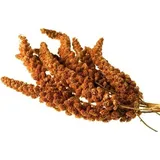 Einzelsaaten Kolbenhirse chinesisch, rot & handverlesen 15 kg