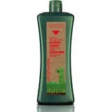 Salerm Biokera Shampoo Haarausfall 1000 ml