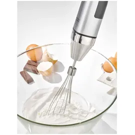 CASO Design HB 1000 Stabmixer