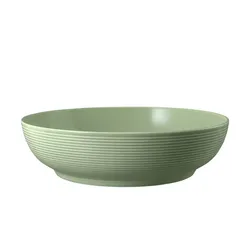 Seltmann Weiden Foodbowl  Beat , grün , Porzellan Ø: 25