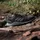 adidas Tracerocker 2.0 Herren Schwarz / Grün 40