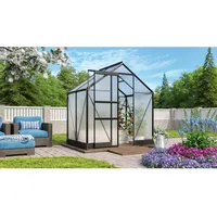 Vitavia Gewächshaus Apollo 2500 Schwarz 2,5 m2 inkl. Fundament