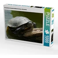 Calvendo Europäische Sumpfschildkröte (Emys orbicularis) 1000 Teile Puzzle quer