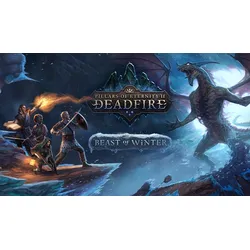 Pillars of Eternity II: Deadfire Beast of Winter