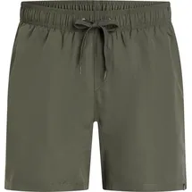 Firefly Badeshorts Ken IV Grün S