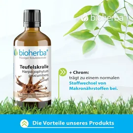 Bioherba Teufelskralle Tropfen 50 ml