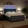 vidaXL Boxspringbett 180 x 200 cm Dunkelgrau