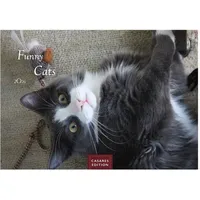 Casares Fine Art Edition Funny Cats Kalender 2026 –