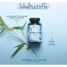 Vegavero Natürliches Silizium Kapseln 120 St.