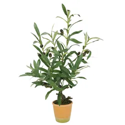 I.GE.A. Kunstpflanze »Künstlicher Olivenbaum mit schwarzen Früchten«, Olive Mediterran Ölbaum Grünpflanze Kunstbaum Dekobaum Baum I.GE.A. grün