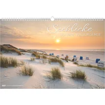 ALPHA EDITION GmbH & Co. KG Seeblicke 2027: Wandkalender 49,5x33 cm mit 12 Strand- und Küstenmotiven, sprachneutralem Kalendarium und internationalen Feiertagen