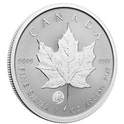 Silbermünze "Treasured Maple Leaf - Polar Bear" - Kanada 2024