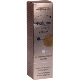 DR. THEISS NATURWAREN Hyaluron Teint Perfection Make-up natural gold 30 ml