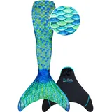 Fin Fun Fin Fun, Flossen