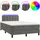 vidaXL Boxspringbett mit Matratze & LED Dunkelgrau 120x200 cm Samt