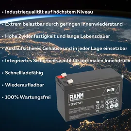 Fiamm Fg20721 Pb 12V 7200 mAh 2 St.